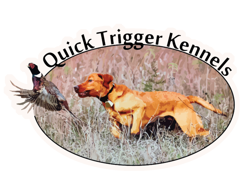Quick Trigger Kennels